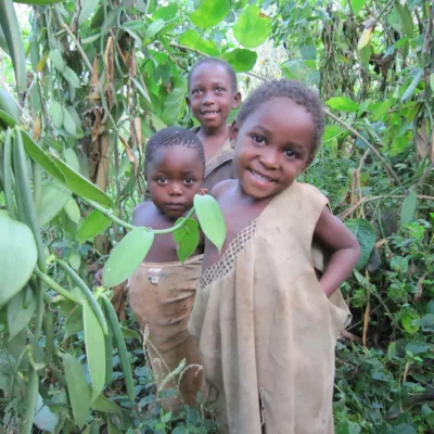 Uganda jan 10 180 Uganda jan 10 180